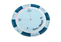 Pregnancy calculator disk