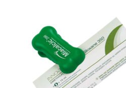 Bone paper clip holder