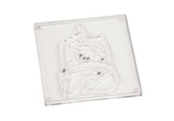 Juego habilidad intestino