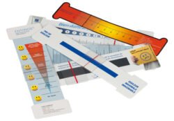 Flexible pain scale ruler