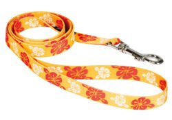 Correa para mascotas