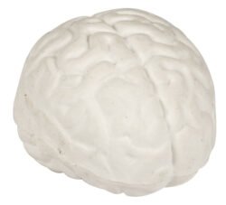 Brain eraser
