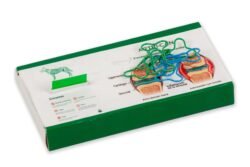 Bone clip dispenser + bookmark